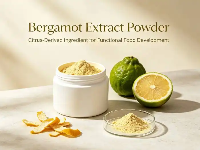 Bulk Bergamot Extract Supply: From Citrus Processing to Powder Production